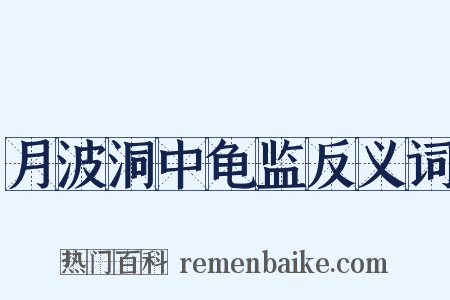 月波洞中龟监反义词是什么意思的图片